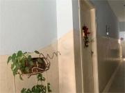 Casa / Sobrado para Venda em São Paulo/SP Santana 2 Quartos