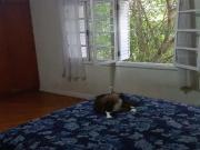 Casa / Sobrado para Venda em São Paulo/SP Santo Amaro 3...