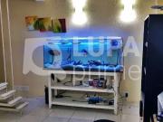 Casa / Sobrado para Venda em São Paulo/SP Tatuapé 3 Quartos