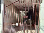 Casa / Sobrado para Venda em São Paulo/SP Tatuapé 4 Quartos
