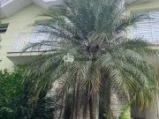 Casa / Sobrado para Venda em São Paulo/SP Tremembé 4 Quartos