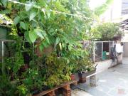 Casa / Sobrado para Venda em São Paulo/SP Vila Anglo...