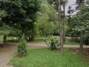 Casa / Sobrado para Venda em São Paulo/SP Vila Antônio 3...