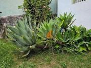 Casa / Sobrado para Venda em São Paulo/SP Vila...