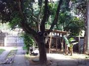 Casa / Sobrado para Venda em São Paulo/SP Vila Aurora...