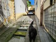 Casa / Sobrado para Venda em São Paulo/SP Vila Aurora...