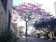 Casa / Sobrado para Venda em São Paulo/SP Vila Bertioga...