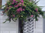 Casa / Sobrado para Venda em São Paulo/SP Vila Carrão 3...