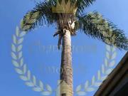 Casa / Sobrado para Venda em São Paulo/SP Vila Guilherme...