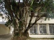 Casa / Sobrado para Venda em São Paulo/SP Vila Madalena...