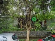 Casa / Sobrado para Venda em São Paulo/SP Vila Madalena...