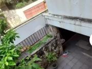 Casa / Sobrado para Venda em São Paulo/SP Vila Mariana 3...