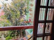 Casa / Sobrado para Venda em São Paulo/SP Vila Mariana 3...