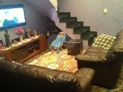 Casa / Sobrado para Venda em São Paulo/SP Vila Nova...