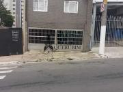 Casa / Sobrado para Venda em São Paulo/SP Vila Prudente...