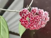 Casa / Sobrado para Venda em São Paulo/SP Vila Santa...