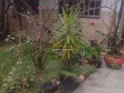 Casa / Sobrado para Venda em São Sebastião/SP Canto do...
