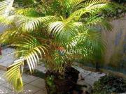 Casa / Sobrado para Venda em São Vicente/SP Centro 3 Quartos