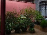 Casa / Sobrado para Venda em São Vicente/SP Jardim...