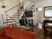 Casa / Sobrado para Venda em Santo André/SP Jardim 4 Quartos