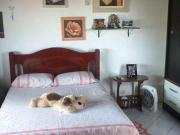 Casa / Sobrado para Venda em Santo André/SP Jardim Las...