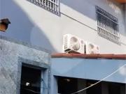 Casa / Sobrado para Venda em Santo André/SP Jardim Santo...