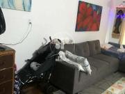 Casa / Sobrado para Venda em Santo André/SP Parque...