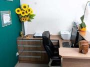 Casa / Sobrado para Venda em Santo André/SP Vila Curuçá...