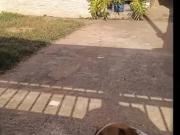 Casa / Sobrado para Venda em Santo Antônio do...