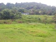 Casa / Sobrado para Venda em Suzano/SP Palmeiras de São...