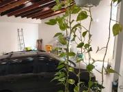 Casa / Sobrado para Venda em Suzano/SP Vila São Pedro