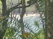Casa / Sobrado para Venda em Ubatuba/SP Praia do Félix...