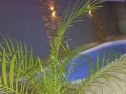 Casa / Sobrado para Venda em Uberaba/MG Parque das...