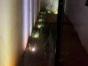 Casa / Sobrado para Venda em Uberaba/MG Parque das...