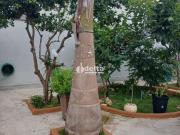 Casa / Sobrado para Venda em Uberlândia/MG Cidade Jardim...