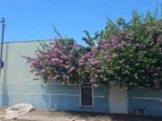 Casa / Sobrado para Venda em Várzea Grande/MT Centro Sul...