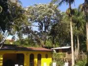 Casa / Sobrado para Venda em Viamão/RS Jardim Krahe 4...