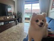 Casa / Sobrado para Venda em Vitória/ES Jardim da Penha...