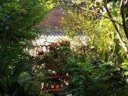 Casa Sola en Antonio Barona, Cuernavaca, Morelos