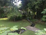 Casa Sola en Lomas de Jiutepec Jiutepec ARI 753 Cs