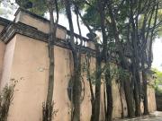 Casa Sola en Palmira Tinguindin Cuernavaca CRB 1296 Cs