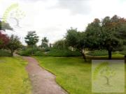 CASA SUSANA EN CONDOMINIO EN RENTA AMUEBLADA REAL DEL...