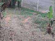 Casa Térrea 1 Dorms para Alugar 70 m² por R$ 2.500,00