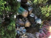 Casa Térrea à venda na Granja Julieta com 4 dormitórios...