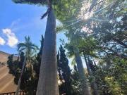 Casa térrea com 3 quartos sendo 1 suíte, 242 m² para...