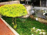 Casa térrea com 4 quartos à venda em Jardim Virginia...