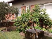 Casa térrea em condomínio fechado Mountain Ville | Zona...