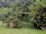 Casa Terrea para Venda em Maranduba Ubatuba SP