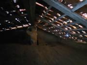 Casa Térrea T1, Malpica do Tejo, Castelo Branco | BPI...