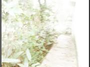 Casa térrea terreno 356m² área construída 120 m² Klabin/...